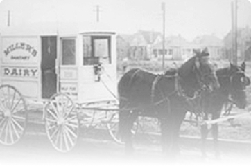 Vintage image of a Royal Crest Horse and carraige delivering milk.